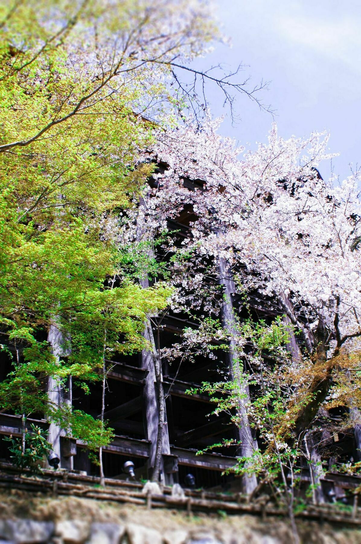 Stay Sakura Kyoto Machiya Akari Quioto Exterior foto